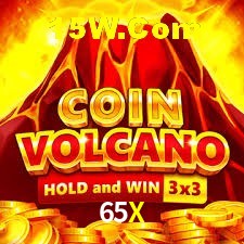 Flash Promotion 65X