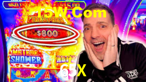 Programa VIP 65X
